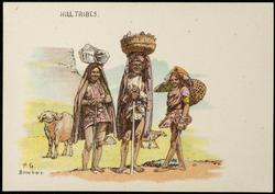 HILL TRIBES.