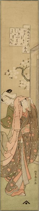 Conservation Status: After Treatment