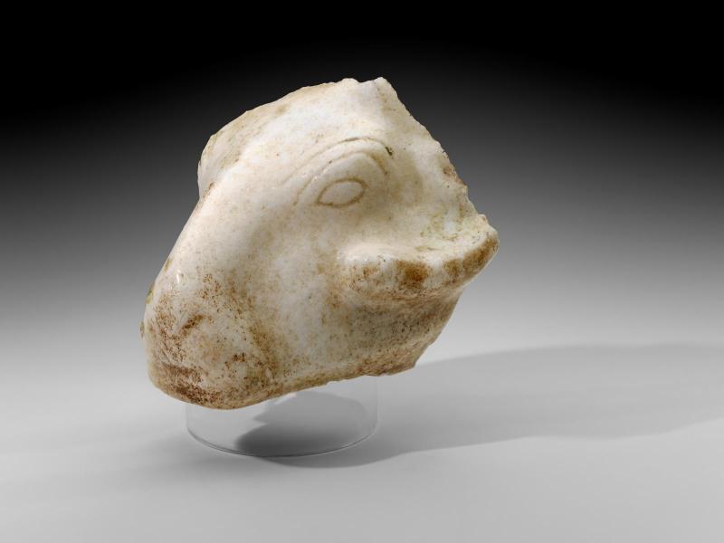 Head of a ram