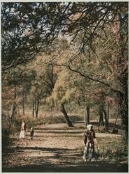 Autumn, Long Island, New York, c1910
