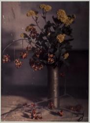 Still Life with Pewter Vase, New York, c1910