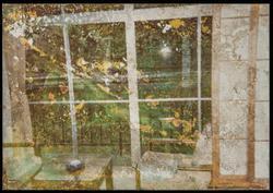 Lost and Found (1 of 370 photographs)