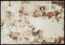 Lost and Found (1 of 370 photographs)