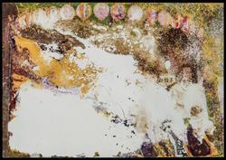 Lost and Found (1 of 370 photographs)