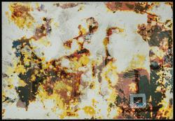 Lost and Found (1 of 370 photographs)