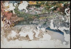 Lost and Found (1 of 370 photographs)