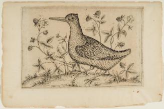 A Bird Among Berries