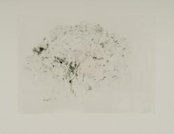 A Study of Trees