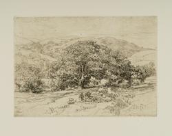 Foothill Oaks