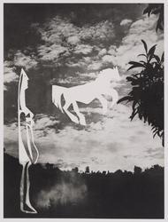 19: La femme au cheval
