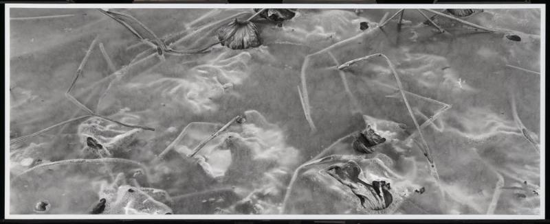 Yuanming Yuan, Beijing, China (center panel)