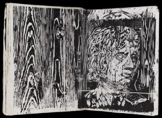 Teutoburger Wald (Teutoburg Forest)