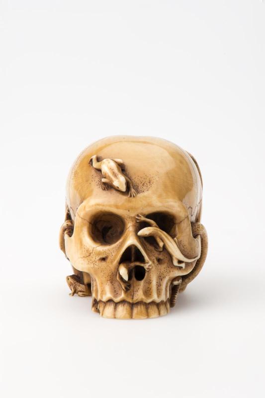 Skull Crawling with Two Snakes, Four Lizards and Four Frogs