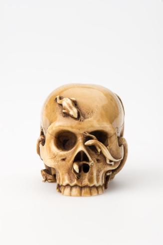 Skull Crawling with Two Snakes, Four Lizards and Four Frogs