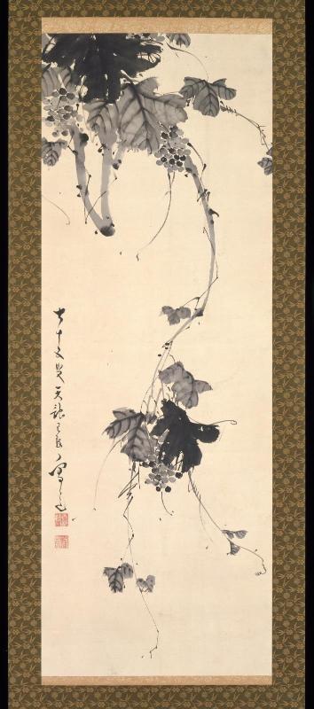 Grapes Hanging from a Vine