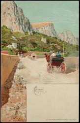 Capri 
