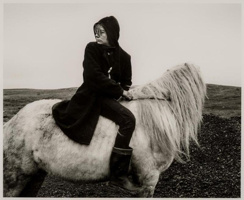 Boo on a Horse, Sea Coal Camp Lynemouth, Northumberland
