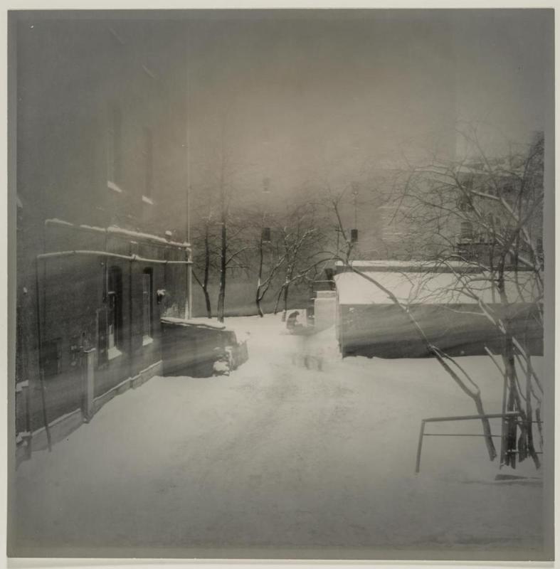 Untitled (Yard)