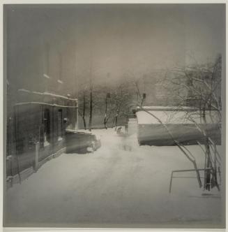 Untitled (Yard)