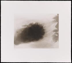 Untitled, from the portfolio 15 Etchings