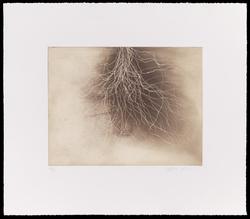Untitled, from the portfolio 15 Etchings