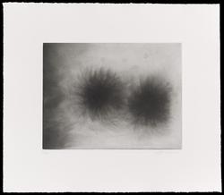 Untitled, from the portfolio 15 Etchings