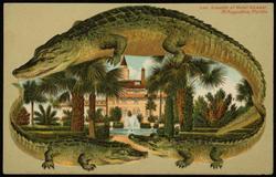 Grounds of Hotel Alcazar, St. Augustine, Florida.
