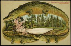 Greetings from the Sunny South. 
Tobacco Seed Bed.
