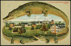 Wireless Telegraph Station, Key West, Florida.

