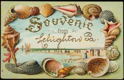 Souvenir from Lehighton Pa.

