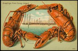 Greetings from Coney Island.

