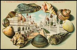 Buildings and Elevated Promenade, Luna Park, Coney Island, N.Y.

