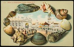 View in Dreamland, Coney Island, N.Y.

