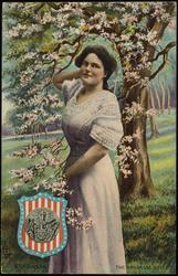 ARKANSAS. THE ARKANSAS BELLE.
