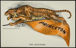 THE DEFENDER  PRINCETON