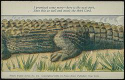 I promised some more - here is the next part, Save this as well and await the third Card.
