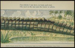 Two-thirds I am here, in body and soul, The next is the last and the Gator is whole.
