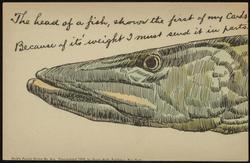 The head of a fish, shows the first of my cards, Because of it's weight I must send it in parts.
