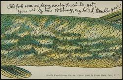 The fish was so heavy and so hard to get, you see by this writing, my hand trembles yet!
