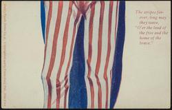 The stripes forever, long may they wave, "O'er the land of the free and the home of the brave."
