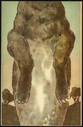 Body of a rabbit. [2of3]

