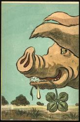 Head of pig with a shamrock in his mouth. [1of5] 

