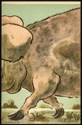 Front legs of pig.. [2of5] 

