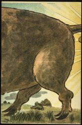 Hind feet of pig. [4of5] 

