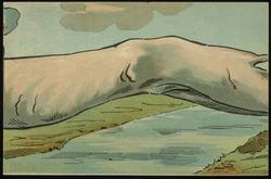 Back end of horse racing through countryside. [3of4] 

