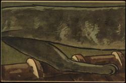 Middle of cat on a roof at night. [3of5, 5 is missing from this set.] 

