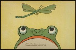 Jetzt wird es klar, es kann, es kann nur ein Insektenschnappend Fröschlein sein. [1of3] 

