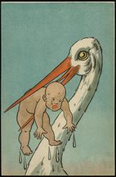 Head of stork with baby in beak. [1of3] 

