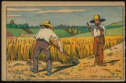 Coloring card - two men cutting hay.

