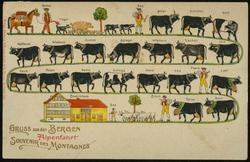 GRUSS aus den BERGEN Alpenfahrt 
SOUVENIR DES MONTAGNES